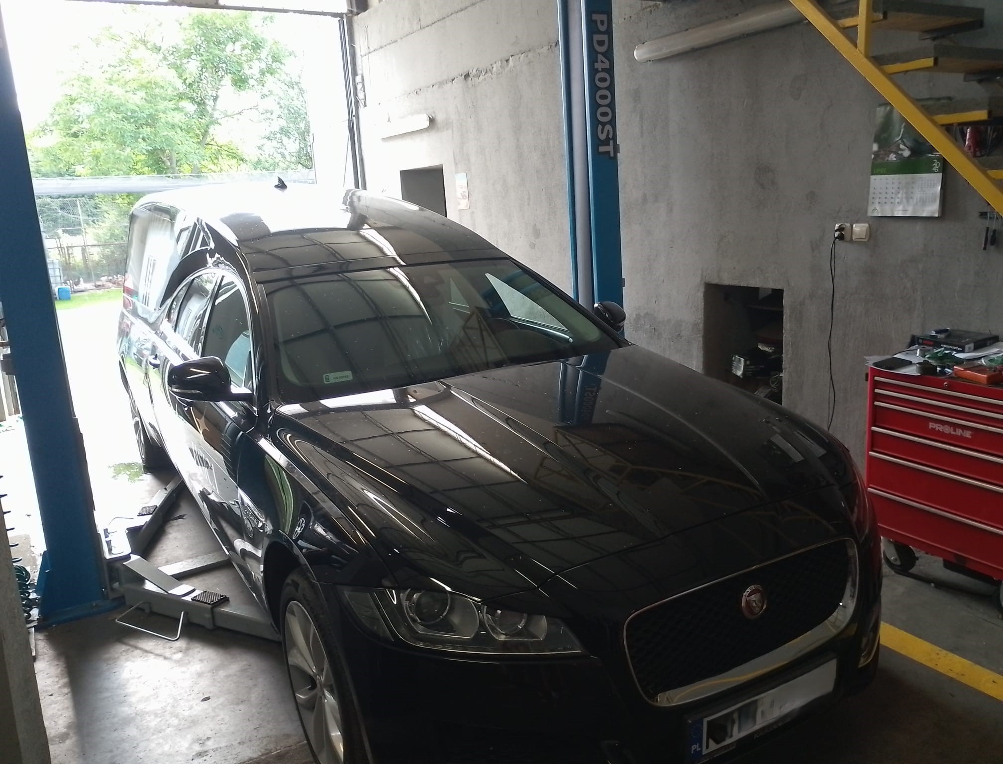Jaguar